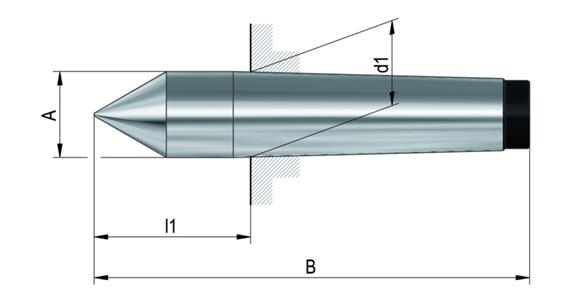 LIZZARD ZENTR-SPITZE WS MK1 60G VSP