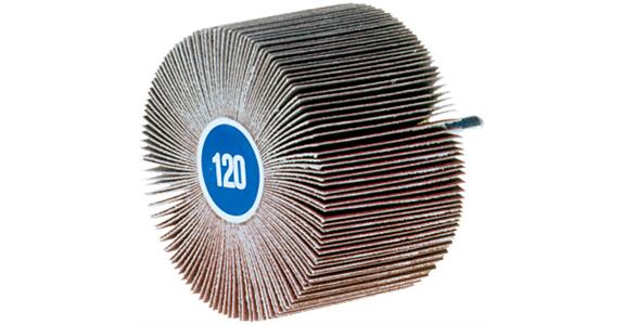 ATORN Schleiffächer Durchmesser 6 mm 30 x 5 mm K80