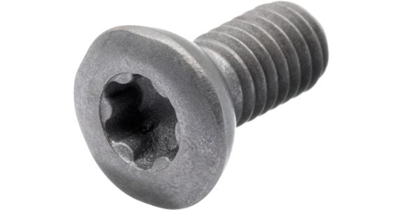 Spannschraube für Wendeschneidplatten M4 x 10 mm