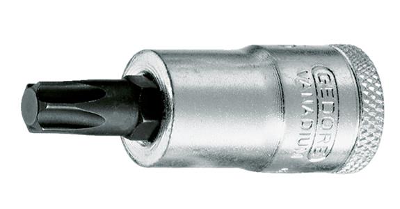 3/8 Zoll Innen-TORX® Schraubendreher-Einsatz Größe T 20