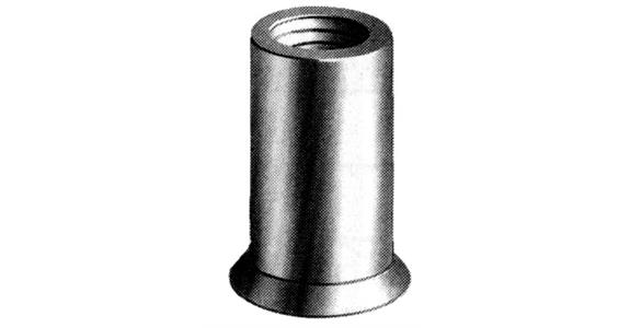 Blindnietmutter mit Senkkopf 90° Stahl verzinkt M6 9x17,0 Pack=250 St.