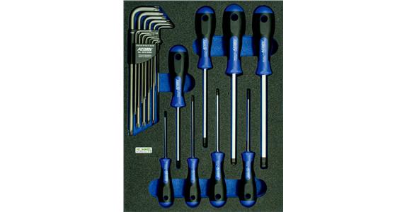 6kant-/TORX®-Schraubendreher-Satz 21-teilig in OPT-I-STORE Einlage 260x345x30mm