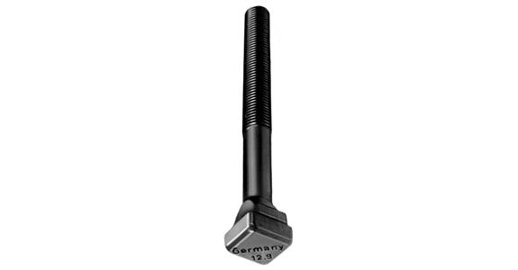 T-Nutenschraube 12.9 787 Nute 22 M20x315