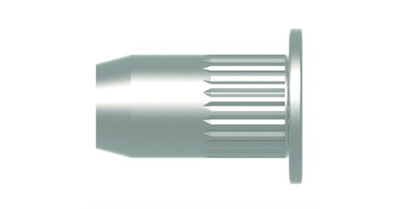 Blindnietmutter mit Flachkopf Stahl verzinkt M6 9x15,5 Pack=250 St.
