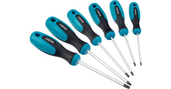 TORX®-Schraubendreher-Satz 810T/6 6teilig T 10-30 für Innen-TORX®