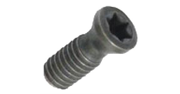 LIZZARD Spannschraube Spannpratze 02STX2506