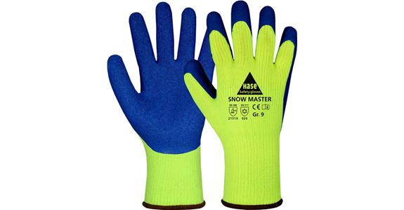 Kälteschutz-Handschuh Snow Master paarweise Gr. 10