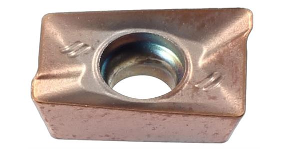 LIZZARD WENDEPLATTEN APMT 1003 PDR-M HPU35-M