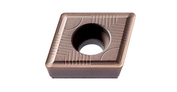 LIZZARD Wendeplatten SDX XPMT 042004-G P300