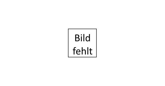 ATORN Stechwendeplatte Z1 ASS 6 MU APU40