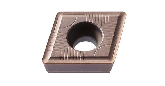LIZZARD Wendeplatten SDX XPMT 094508-G P300